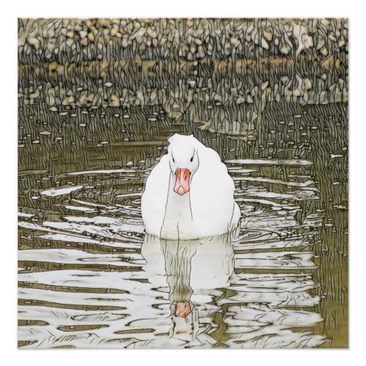 Poster Animal SmartMix - Swan (Devant)