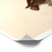 Poster animal vintage - Chouette (Coin)