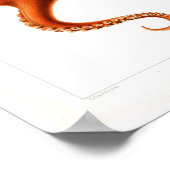 Poster animal vintage - Octopus (Coin)