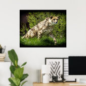 Poster animalier Cheetah Wild Cat Animal-Lover Wil (Bureau à domicile)