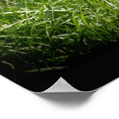 Poster animalier Cheetah Wild Cat Animal-Lover Wil (Coin)