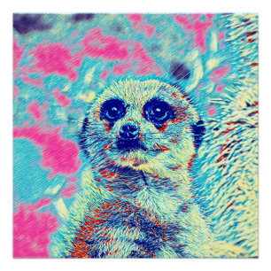 Poster AnimalMix_Meerkat_008