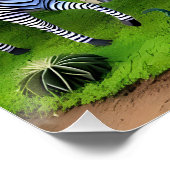 Poster  animals of africa (Coin)