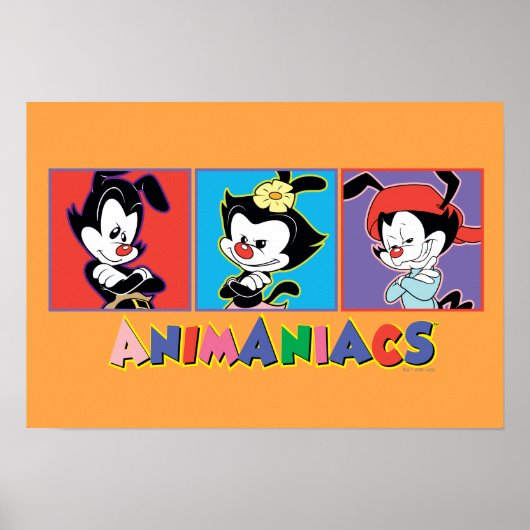 Poster Animaniacs | Graphique de panneau Yakko, Dot et Wa (Devant)