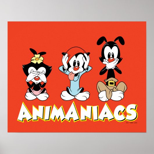 Poster Animaniacs | Graphique de Warner Sibings "No Evil" (Devant)