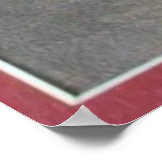 Poster animation vintage de chats (Coin)