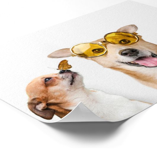 Poster Animaux (Coin)