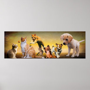 Poster Animaux