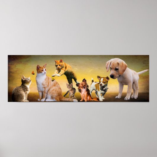 Poster Animaux (Devant)