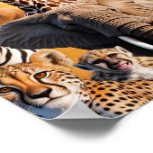 Poster Animaux africains (Coin)