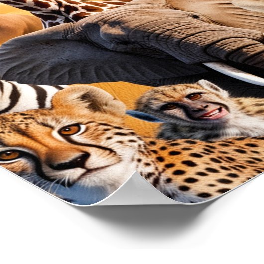 Poster Animaux africains (Coin)