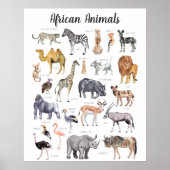 Poster Animaux africains | Formation en classe (Devant)