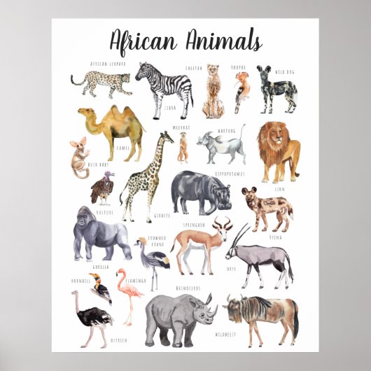 Poster Animaux africains | Formation en classe (Devant)
