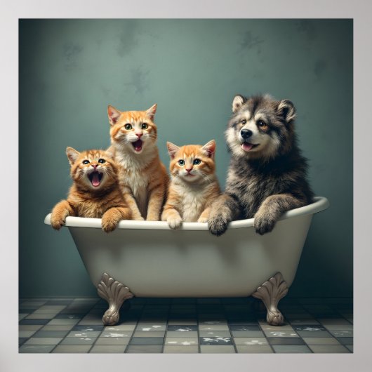 Poster Animaux amusants dans la baignoire (Devant)