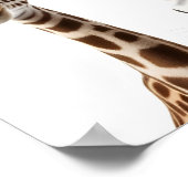 Poster Animaux amusants sur blanc (Coin)