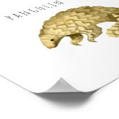 Poster Animaux asiatiques | Formation en classe (Coin)