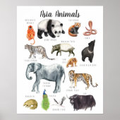 Poster Animaux asiatiques | Formation en classe (Devant)