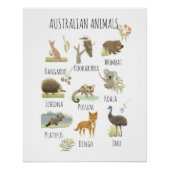Poster Animaux australiens (Devant)