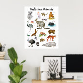 Poster Animaux Australiens | Éducation Apprentissage Sall (Bureau à domicile)