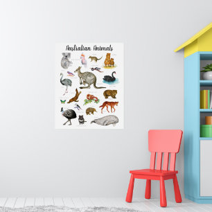 Poster Animaux Australiens   Éducation Apprentissage Sall