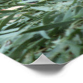 Poster Animaux - Baby Gorilla Gros plan (Coin)