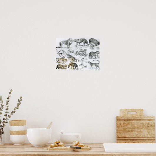 Poster Animaux carnivores (Cuisine)