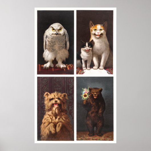 Poster Animaux Cartes peinture (Devant)