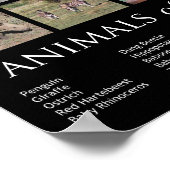 Poster Animaux d'Afrique (Coin)