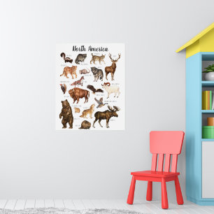 Poster Animaux d'Amérique du Nord Salle de classe éduca