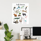 Poster Animaux d'Amérique du Sud | Classe d'éducation (Bureau à domicile)