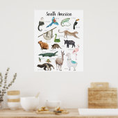 Poster Animaux d'Amérique du Sud | Salle de classe éducat (Cuisine)