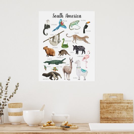 Poster Animaux d'Amérique du Sud | Salle de classe éducat (Cuisine)