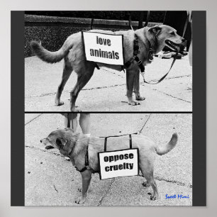 Poster Animaux d'amour