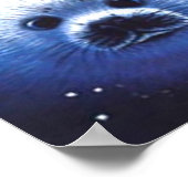 Poster Animaux dans l'espace (Coin)