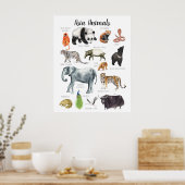 Poster Animaux d'Asie | Éducation Apprentissage Salle de  (Cuisine)