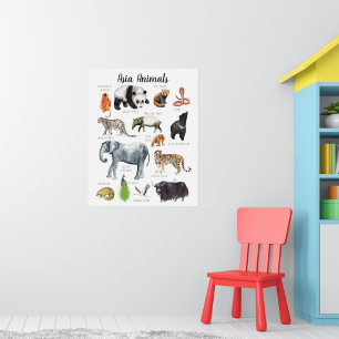 Poster Animaux d'Asie   Éducation Apprentissage Salle de 