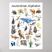 Poster Animaux d'Australie (Devant)