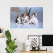 Poster Animaux de bébés cutest | 3 Tabby Kittens (Bureau à domicile)