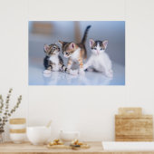 Poster Animaux de bébés cutest | 3 Tabby Kittens (Cuisine)
