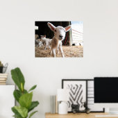 Poster Animaux de bébés cutest | Agneau mignon dans une f (Bureau à domicile)