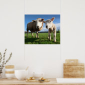 Poster Animaux de bébés cutest | Agneau nouveau-né & mama (Cuisine)