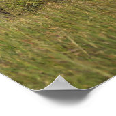 Poster Animaux de bébés cutest | Amama Elephant Avec Bébé (Coin)