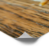 Poster Animaux de bébés cutest | Baby Chick (Coin)