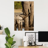 Poster Animaux de bébés cutest | Baby Elephant & Mama (Bureau à domicile)