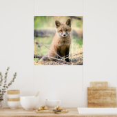 Poster Animaux de bébés cutest | Baby Fox (Cuisine)