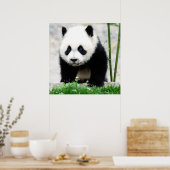 Poster Animaux de bébés cutest | Baby Panda Bear (Cuisine)