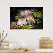 Poster Animaux de bébés cutest | Baby Red Fox Kits Sleepi (Cuisine)
