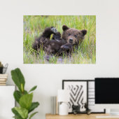 Poster Animaux de bébés cutest | Bébé Ours Brown (Bureau à domicile)