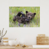 Poster Animaux de bébés cutest | Bébé Ours Brown (Cuisine)