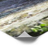 Poster Animaux de bébés cutest | Bébé Ours polaire (Coin)